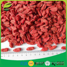 USDA certified organic Goji Berry